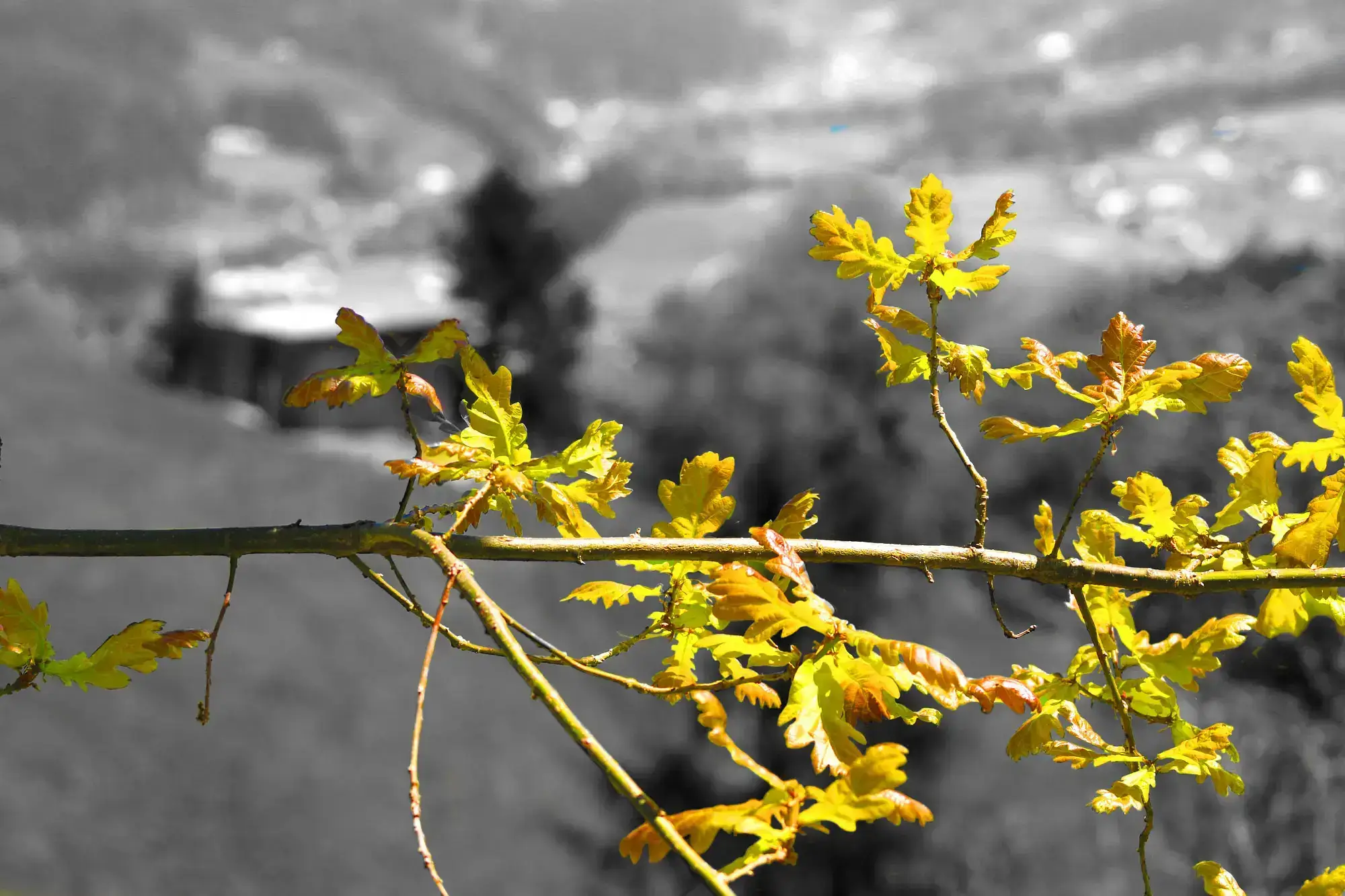 Fixdesign Burgdorf Schweiz - Grafikdesign, Webdesign, Fotografie, PC-Support, Beratung